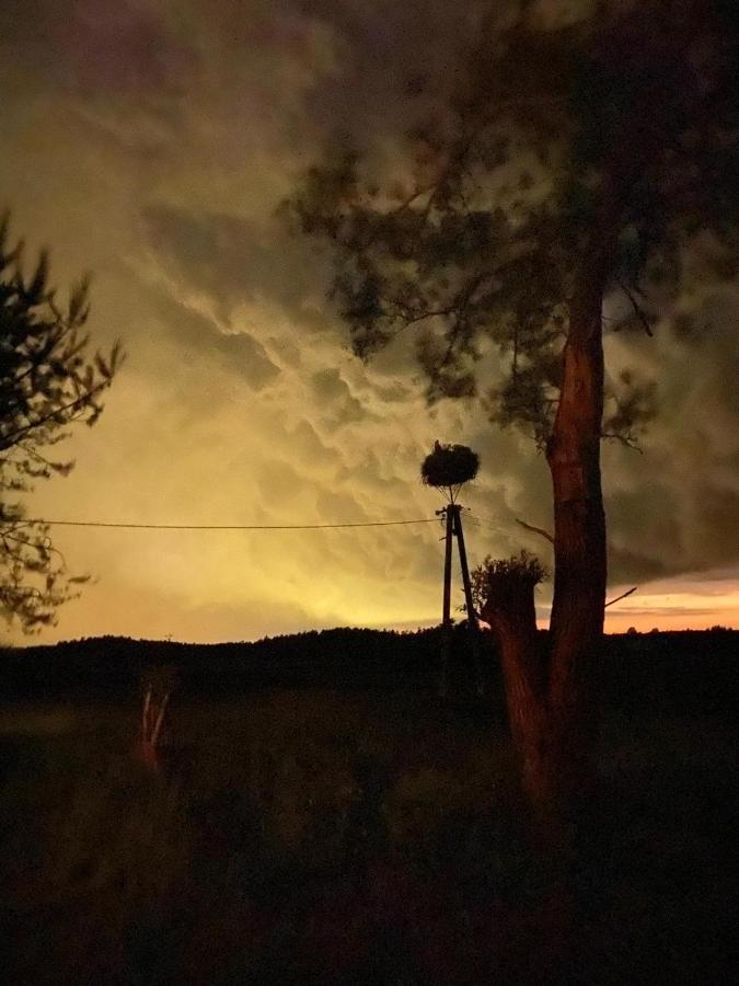 Pod Bocianim Gniazdem Villa Stary Folwark Exteriör bild